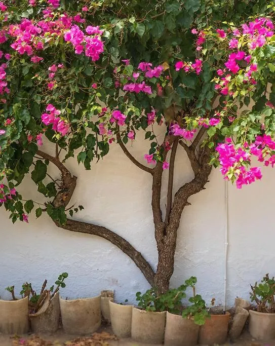 Vakantiehuis Ranchito De Alhucemas,Piscina Privada Y Barbacoa Villa Montellano